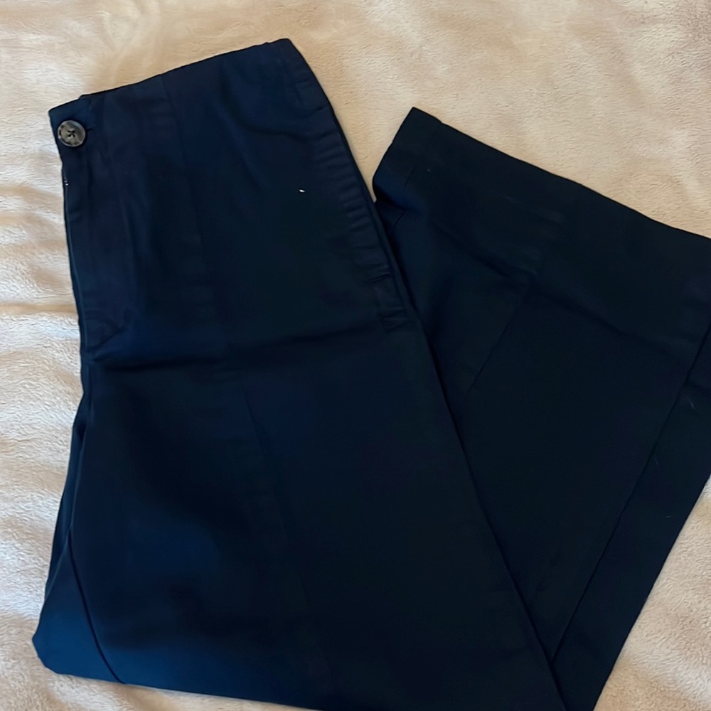 Loft Wide Leg Blue Pants